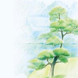 handy_graham's profile picture. 