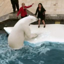 augmented_media's profile picture. Actualités de la réalité augmentée et des documents augmentés.
Conseil en stratégie et mise en oeuvre Réalité Augmentée et Print-to-mobile.