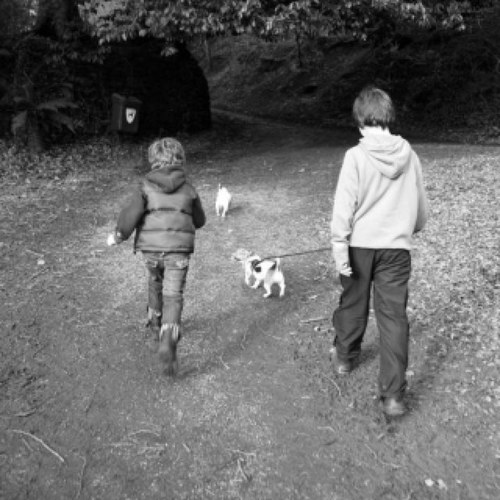 Troubleator's profile picture. 