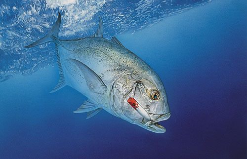 megane8139's profile picture. 静岡県東部在住。
釣りが趣味。陸・レンタルボート・遊漁船。
駿河湾、相模湾、東京湾、伊豆諸島、奄美諸島、芦ノ湖、富士五湖、丹沢湖、中禅寺湖、琵琶湖等
✌️タックルハウス✌️
3児の父、兼業農家。
お仕事のご依頼はDMにて📤