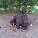 Carmen Rowe - @spencer197922 - Twitter