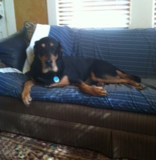 rdh2033's profile picture. 