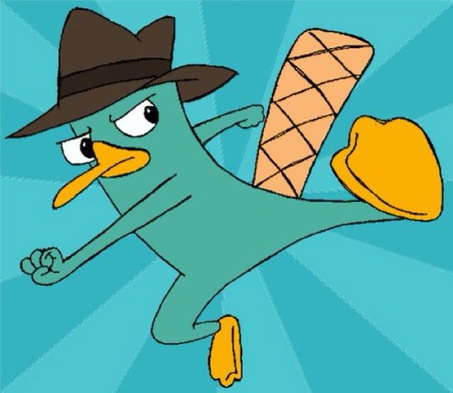 p3rrygotswag's profile picture. I AIN'T NO ORDINARY PLATYPUS IM PERRY THE PLATYPUS livin' life to the full wid phineas n ferb ma homies$$$I'm secret agent p I HATE BASIC BITCHES