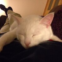 James L Beane (@jameslbeane) 's Twitter Profile