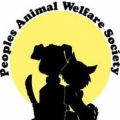 We are a registered charity with a no-kill policy dedicated to helping homeless, abused and abandoned animals.  Founded 1972.