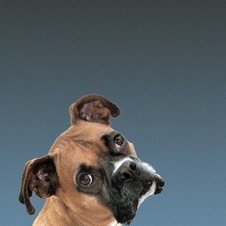 quickstep63's profile picture. 