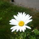 Rikke Borge-Andersen - @RikkeBorge - Twitter