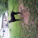 Beth graham - @mayberrygraham - Twitter