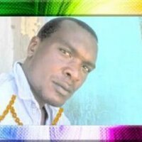 Dan mo (@danmoru) 's Twitter Profile