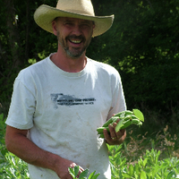 Nathan Richards (@troedyrhiwfarm) 's Twitter Profile