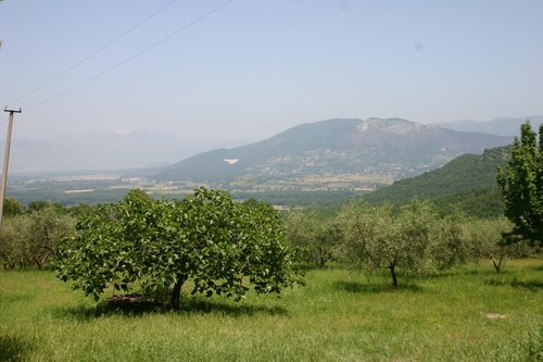 ἡ φύσις οὐθὲν ποιεῖ μάτην (Nature does nothing in vain - La natura non fa nulla di inutile)