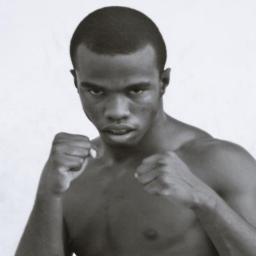 Fighter of MMA/Dark Blue Belt of Muay Thai .