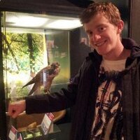 Ben Pringle (@benpringle1) 's Twitter Profile