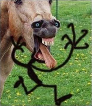 GMichaelC2012's profile picture. 