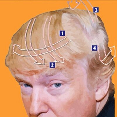 donald trump toupee twitter