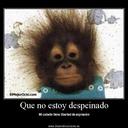 benjamin cuellar roc - @benjami43510894 - Twitter