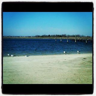Sharing all things Barnegat Bay. One Bay, One Environment. Protect It. Restore It.