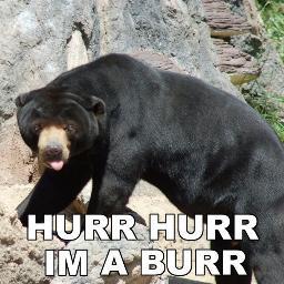 InitialGames1's profile picture. 