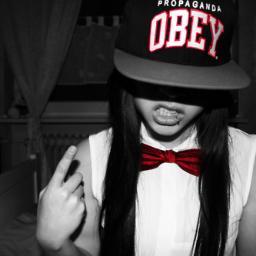 Gestart op 2 augustus 2012 // Follow me I Follow back
volg me ik volg terug