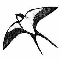 Mrs Middleton's Oil (@mrsmiddletonoil) 's Twitter Profile Photo