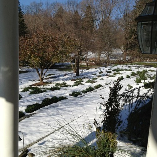 rmorris510's profile picture. 