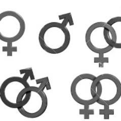 T_atreves's profile picture. Creando una nueva web LGBT

Soñando con la igualdad y la visibilidad