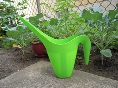 I like to grow food & get my hands in the dirt!