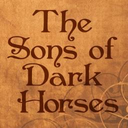 Two sons and a collective of unique voices and players, collaborating to pour out a blend of folk 'n' soul with more besides. We're not dark & we're not horses.