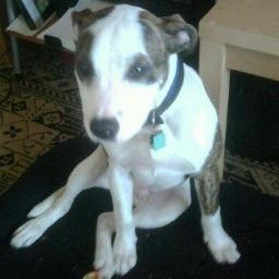 Scarlett1972's profile picture. mummy, wife, friend, support worker, reader, chocolate lover, pet owner,