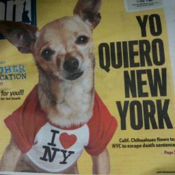 BKGIRLSGIVEBACK's profile picture. 