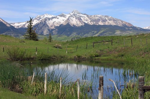 ASpeedster's profile picture. 