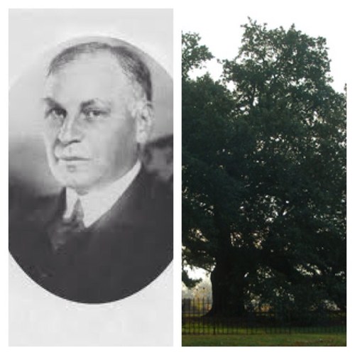 HUfacts_PhilipD's profile picture. Univ 101 H9 
Facts on Emancipation Oak and James E Gregg! 

-Philip Dancy