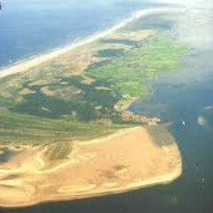 terschellingerz's profile picture. bekende uitspraken van ons terschellingerlandsje!