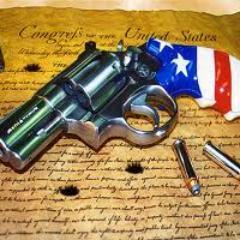 Bullets4Freedom's profile picture. Love my country, ashamed of my government.    Go Steelers, Pirates, Pens & WVU Mounties! Tweets R my views.