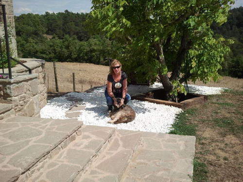 immacanalic's profile picture. !! Estimo Catalunya i el Barça !!