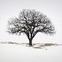 Don McLaughlin - @Don3rdSE - Twitter