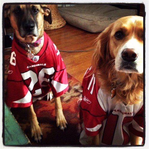 chefeclark's profile picture. I'm a Pastry Chef at Jeff Rubys Downtown and Carlo & Johnnys.True Cincinnati sports fan and an Arizona Cardinal fan. Love Food and this city.