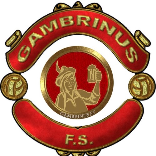 Twitter oficial del Gambrinus FS