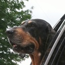 Sandy Herron - @herronhealthlaw - Twitter