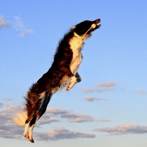 ziggyandlola's profile picture. Visions From Within: We all have dreams, never forget about your dreams, never forget about your loved ones, never forget about life.