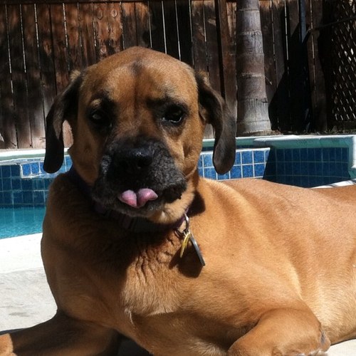 pattyannmahan's profile picture. Mom & wife.