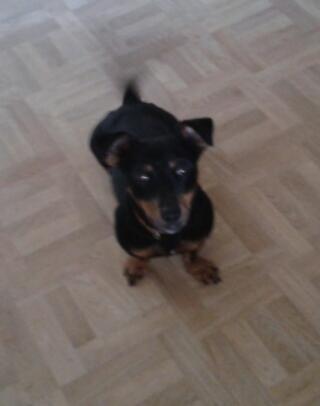 AlwinWolting's profile picture. 16-09-1999-voetbal-csg-vkwc1-2kbba-ajax amsterdam-32-leef nu het kan