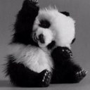 Eric Liew - @sydneydragon64 - Twitter