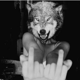 Antouanefollow1's profile picture. FOLLOW @Antouuane_ et je te fais l'amouuuuuuuuuur.