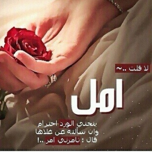 الله ثم الوطن ثم ريس الدولة