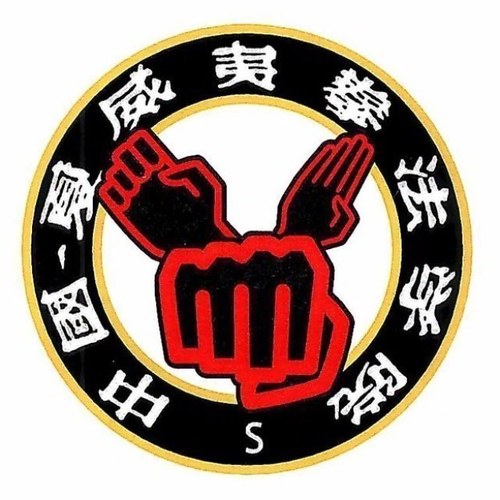 Chinese Hawaiian Kenpo Academy NYC We train champions in Kenpo karate, kickboxing and traditional martial arts weapons. #karate #kenpo #martialarts #fitness