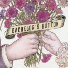 Bachelor's Button Profile
