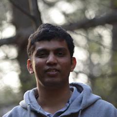 IT Professional; Love to travel, like photography.