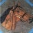 turfman8's profile image