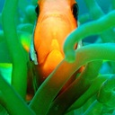 maureen swain - @SwainJersey - Twitter